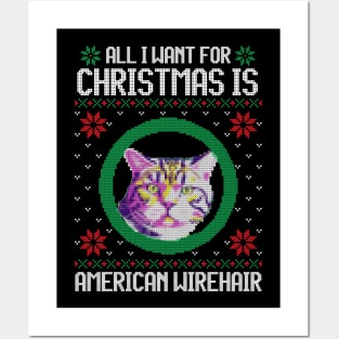 All I Want for Christmas is American Wirehair - Christmas Gift for Cat Lover Posters and Art